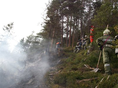 Waldbrand oberhalb von Grins