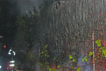 Brand einer Hecke in Landeck