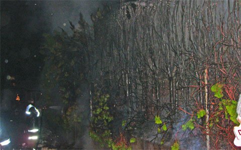 Brand einer Hecke in Landeck