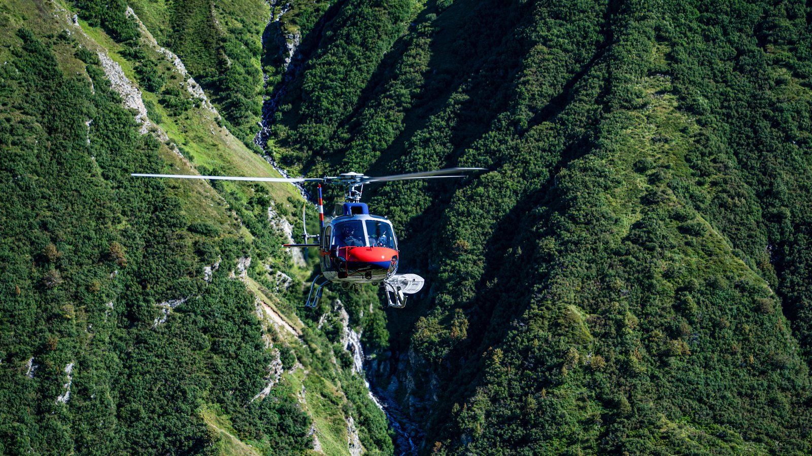 (c) Feuerwehr Landeck, Waldbrandübung in Galtür (3).jpg