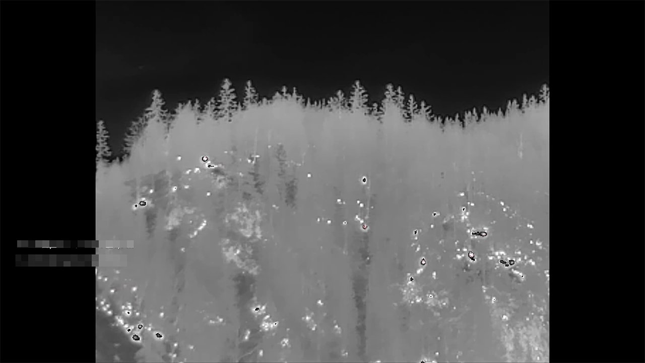 Waldbrand-Pinswang_17.jpg