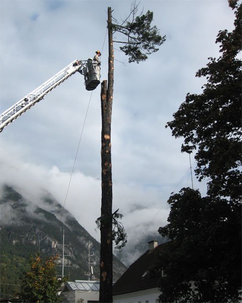 Holz- und Sicherungsarbeiten im Stadtgebiet