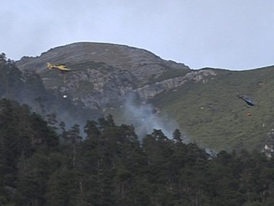 waldbrand-grins14.jpg
