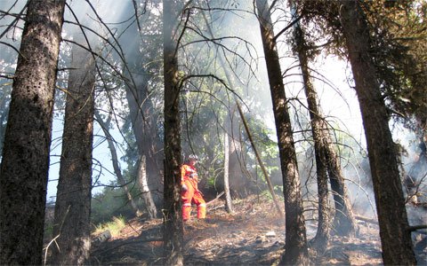 Waldbrand unterhalb der Arlbergbahn-Bahnstrecke