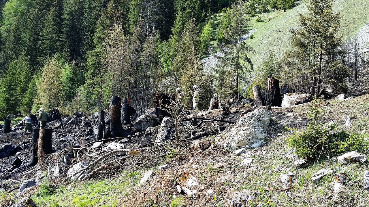 Waldbrand-Pettneu15.jpg