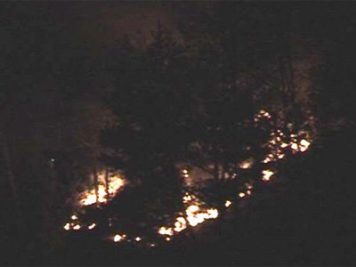 waldbrand-perjen4.jpg