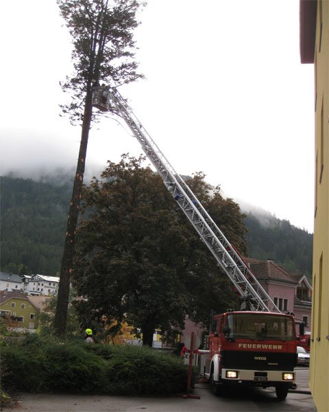 Holz- und Sicherungsarbeiten im Stadtgebiet
