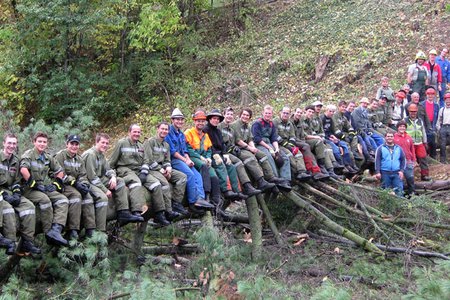 Holz- und Sicherungsarbeiten im Stadtgebiet