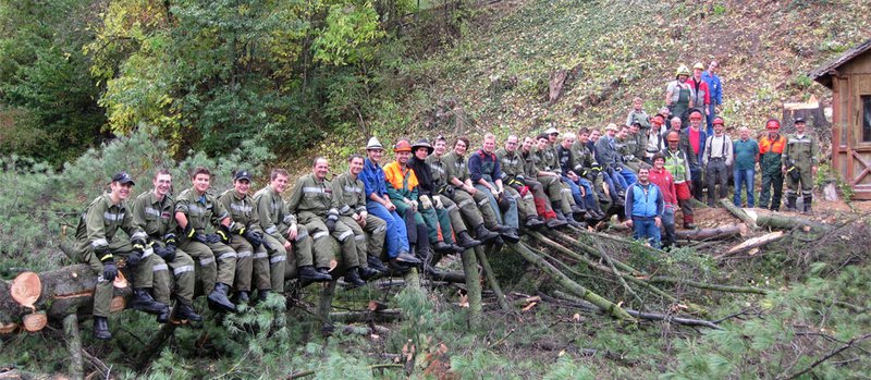Holz- und Sicherungsarbeiten im Stadtgebiet