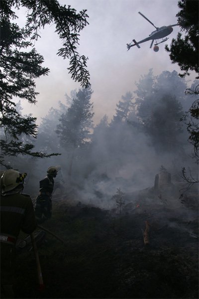 waldbrand-grins30.jpg