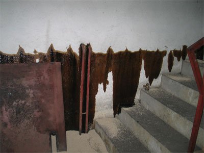 ÖL-Einsatz in Landeck