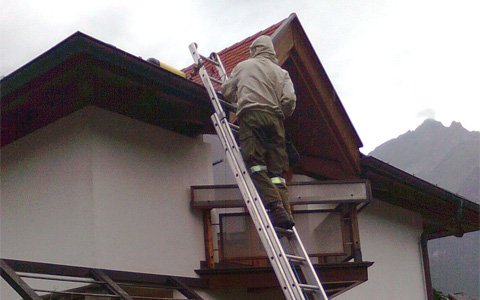 Zahlreiche Einsätze wegen Wespennester