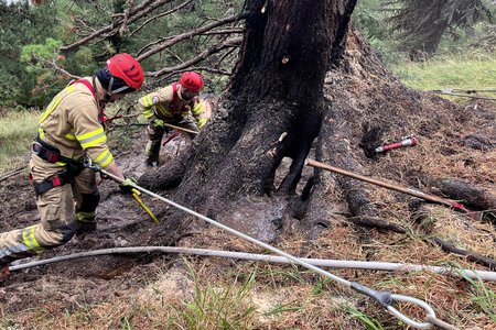 Hartnäckiger Bodenbrand auf knapp 2.000 Metern Seehöhe gelöscht
