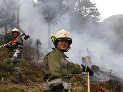 waldbrand-grins20.jpg