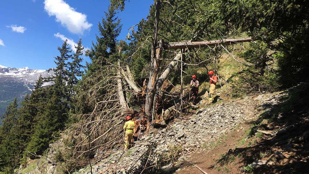 waldbrand_nauders-13.jpg