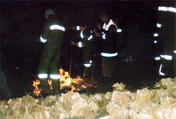 Scheibenschlagen 2002