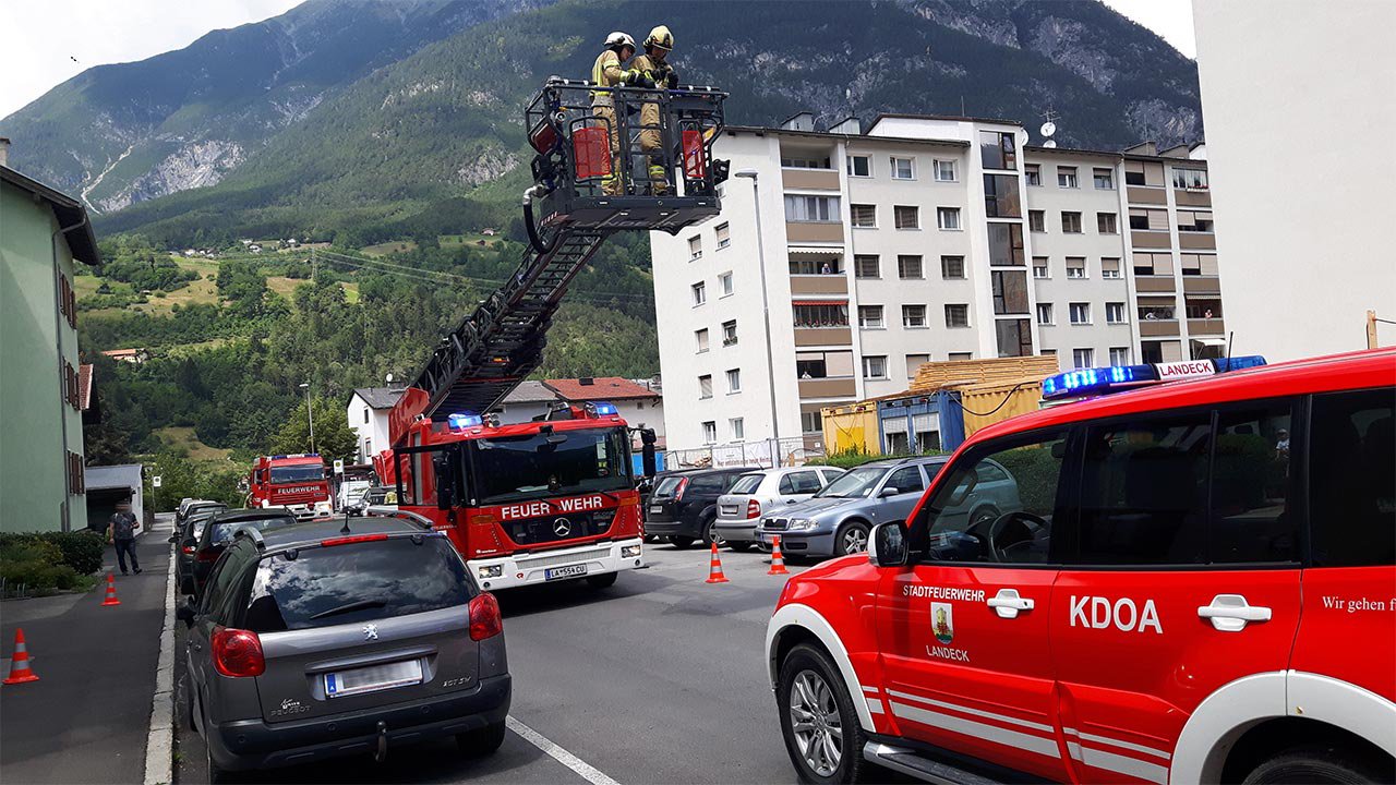 schwalbenrettung-11.jpg
