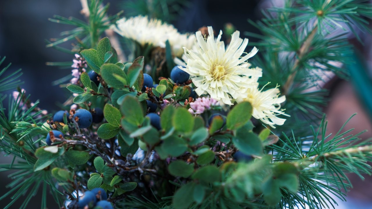 2-DSCF2877.jpg