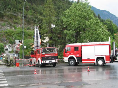 Sturmböhe reißt Baum aus