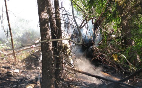 waldbrand-pians15.jpg