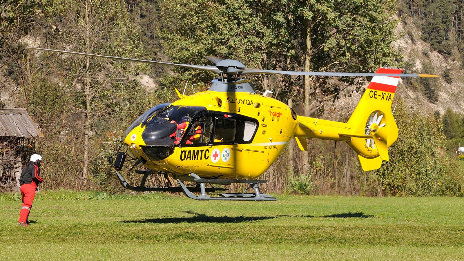 Bachstelze-29.jpg