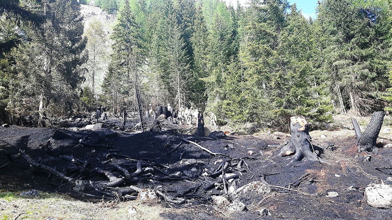 Waldbrand-Pettneu10.jpg