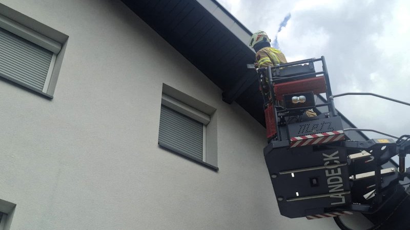 Tierische Hilfeleistung: Kleiner Pechvogel braucht die Feuerwehr