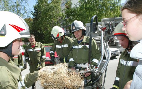 Feuerwehr Landeck rettet Schwalbe aus ihrem Nest