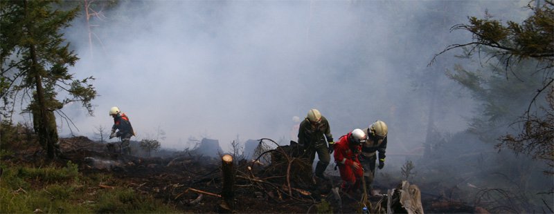 waldbrand-grins33.jpg