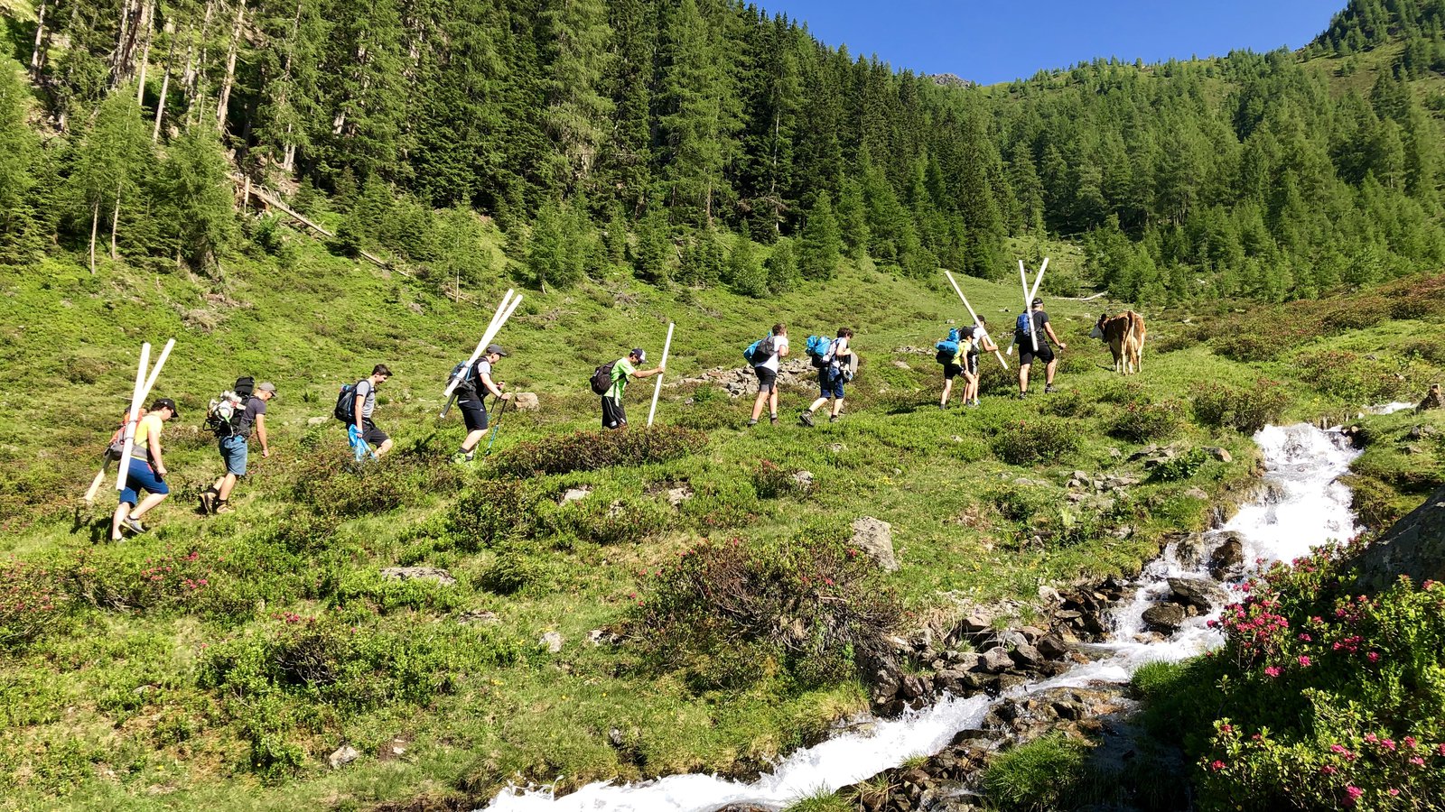 Foto 30.06.19, 17 03 51.jpg