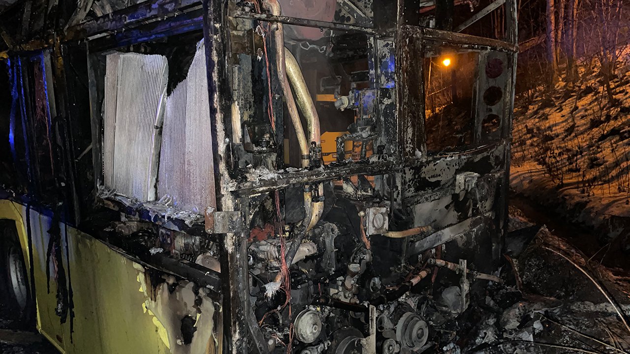 Brand-Bus-15.jpg