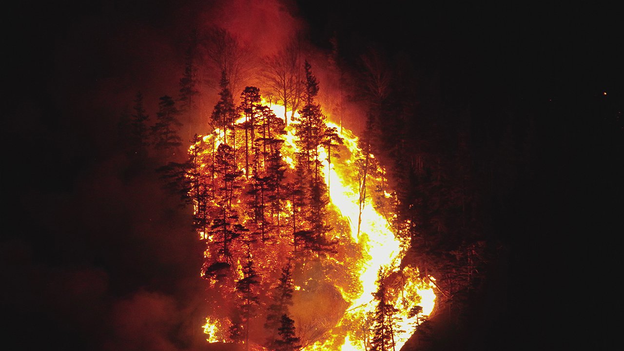 Waldbrand-Pinswang_11.jpg