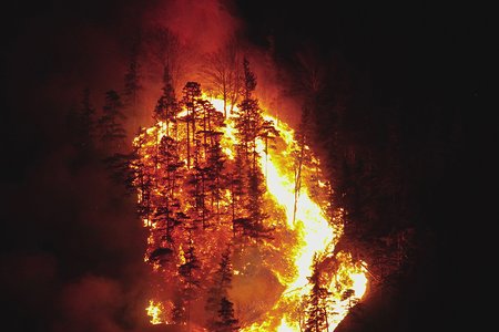 Waldbrand-Verordnung für Nordtirol