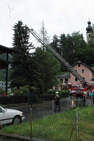 Sturmböhe reißt Baum aus