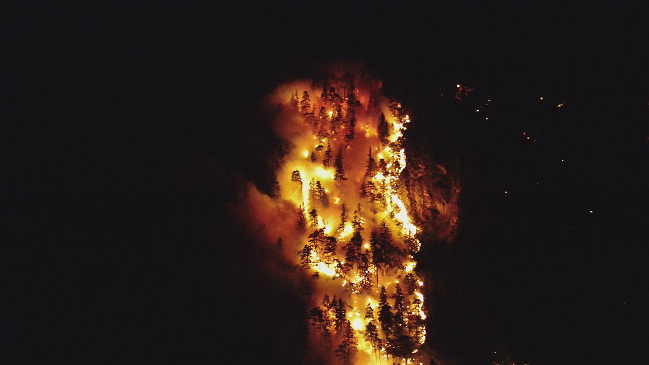 Waldbrand-Pinswang_12.jpg