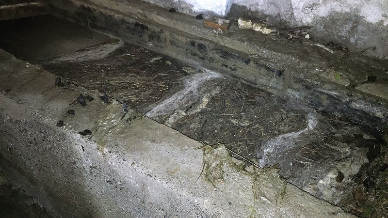 Unterirdischer Bewässerungskanal führte zu Wasserschaden