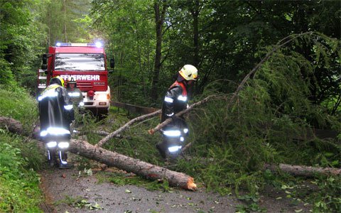 Umgestürzter Baum blockierte die Straße auf die Trams