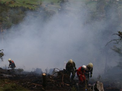 waldbrand-grins28.jpg