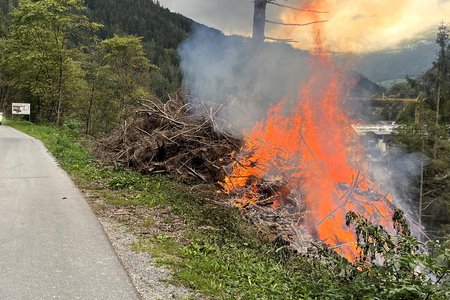 Brand im Waldgebiet – Rasches Eingreifen verhindert Schlimmeres