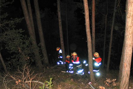 Waldbrand in Landeck / Ortsteil Perjen